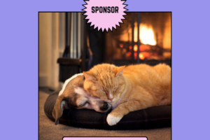 Sponsor a Cat/Kittens Adoption Fee