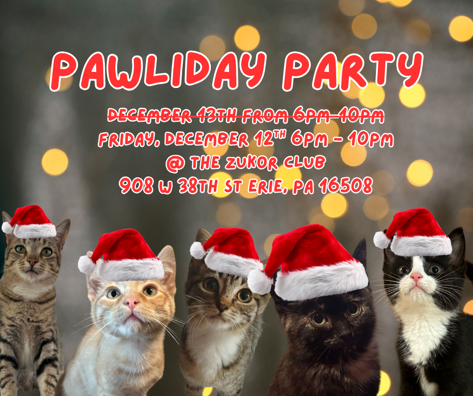PAWLIDAY PARTY (1)