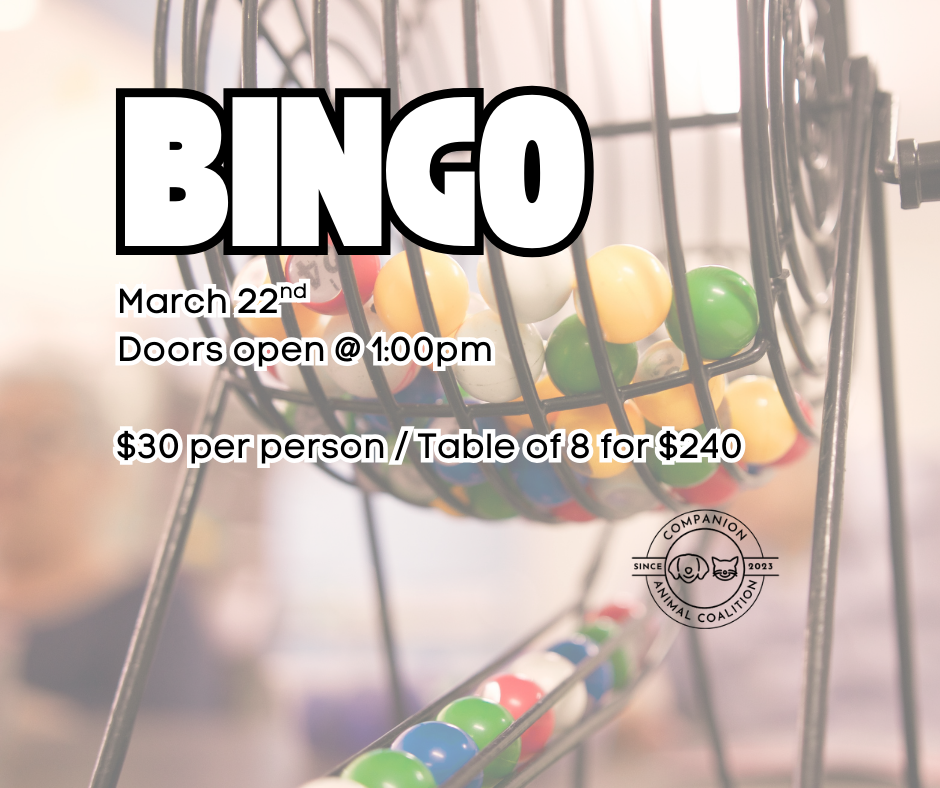 BINGO (Facebook Post) (1)